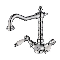 31011  KAISER Vincent тюльпан