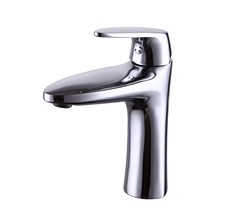 18111  KAISER Leon тюльпан Ф35