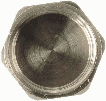 заглушка на трубу 1" под пломбу TRm 06033