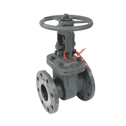 Задвижка ст 30с15нж Ду80 Ру40 фл BRDHSB