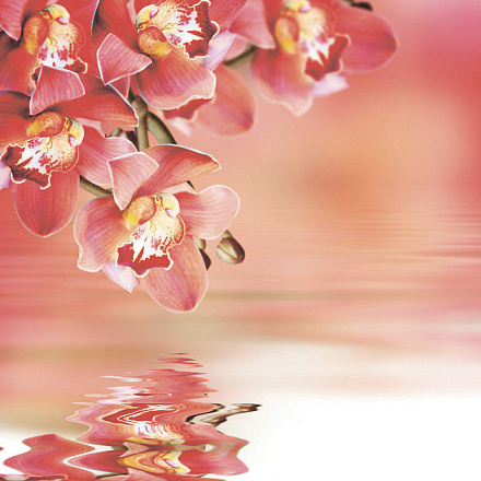 шторка д/в тканевая 180х200см "Орхидеи у воды" MZ-141