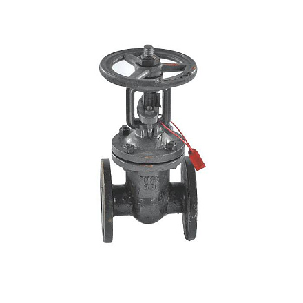 Задвижка ст 30с64нж Ду80 Ру25 фл WGCN