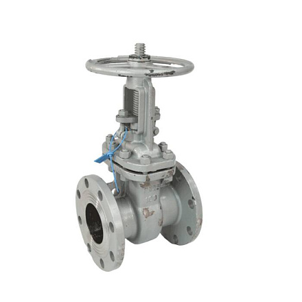 Задвижка ст 30с64нж Ду80 Ру25 фл BRDHSB