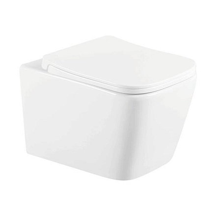 Система инсталл Quadra б/о унитаз+кн/хр сид дюр микр Selena/Анипласт Q001WG/WCP1131