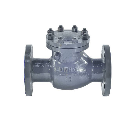 Клапан обр ст пов 19с76нж Ду100 Ру16 фл д/ст WGCN