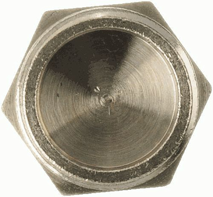 заглушка в трубу под пломбу 1" TRm 06023