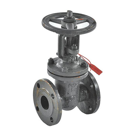 Задвижка ст 30с64нж Ду50 Ру25 фл BRDHSB