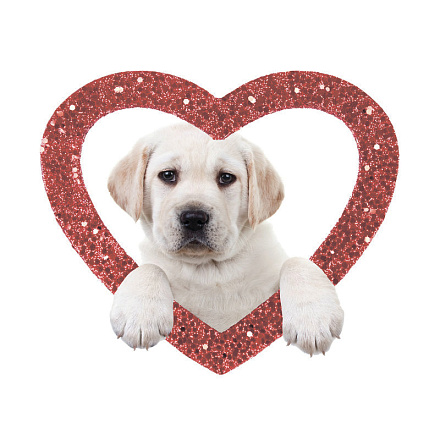 шторка д/в тканевая 180х200см "Любимый щенок" MZ-132