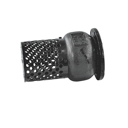 Клапан обр чуг пруж 16ч42р Ду50 Ру2, 5 фл д/чуг прием/сет Луидор