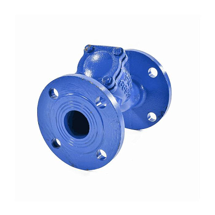 Фильтр Y-обр чуг ФСч Ду300 Ру16 фл L=850мм RMCX