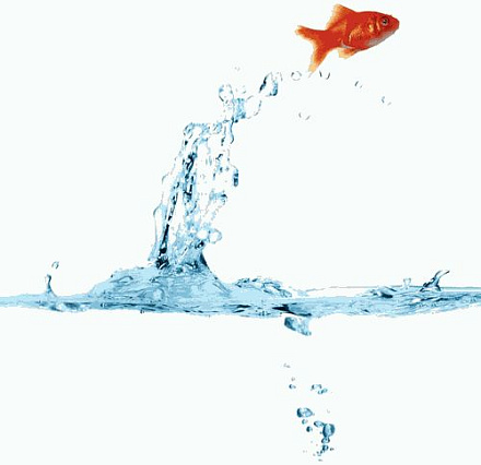 шторка д/в тканевая 180х200см "Золотая рыбка" MZ-45