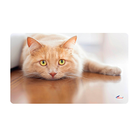 Универсальный коврик SHAHINTEX SPRING PHOTOPRINT SH P125 45*75"Котик"