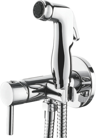 смеситель биде LEDEME картридж 25мм., с гигиен. душем, встраиваемый L5398-2