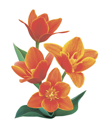 шторка д/в тканевая 180х200см "Оранжевое настроение" MZ-144